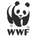 image for WWF