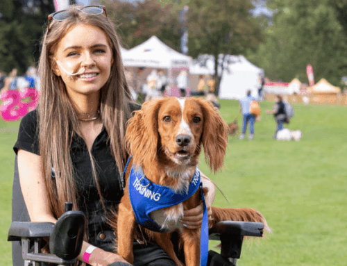 Meet Chloe Fuller of the Super Spaniel Show