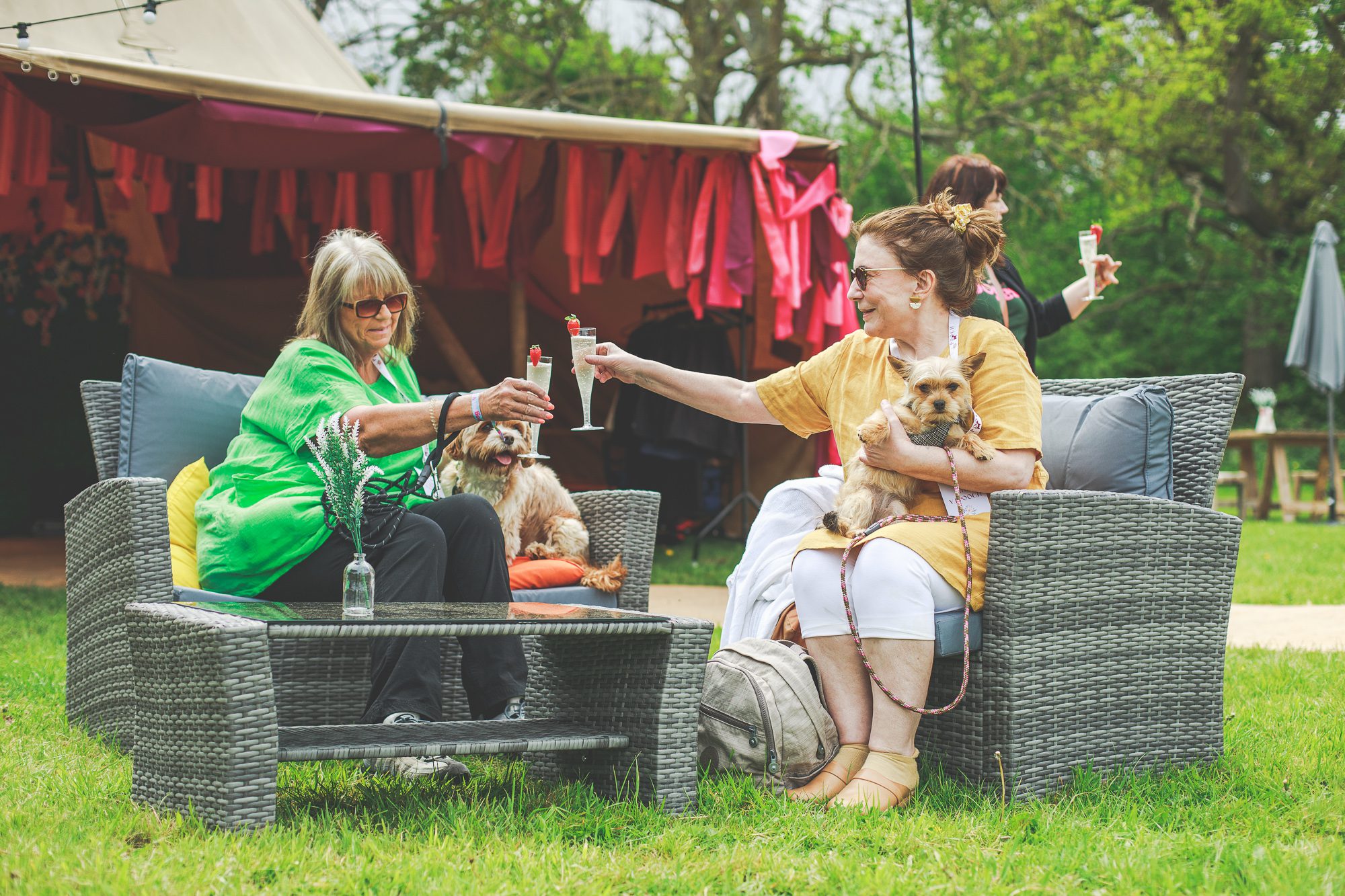 DogFest Plus