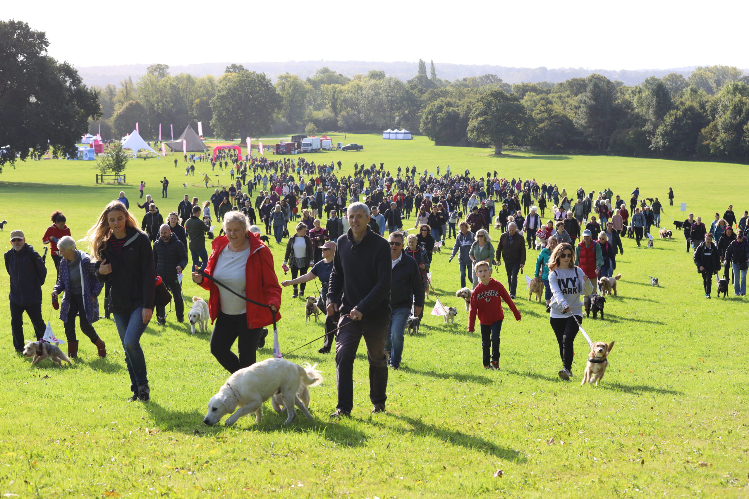 Big Dog Walk