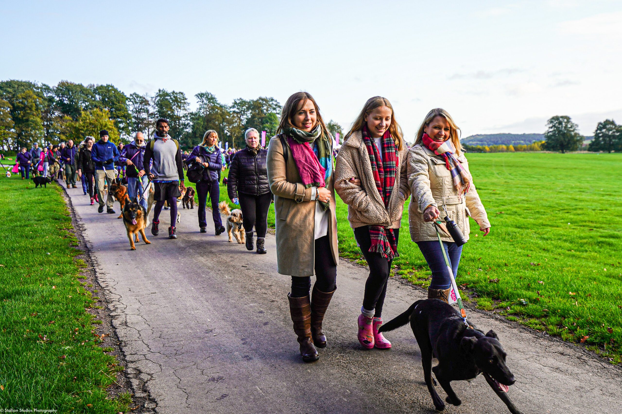 Big Dog Walk