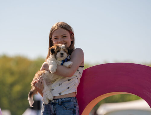 Win a prize bundle from Agria worth over £300!