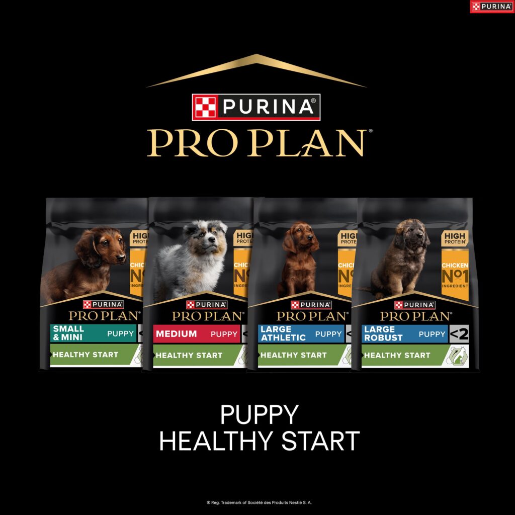 34958 PPD Dog Fest Product Squares x7_v2_OL_F1