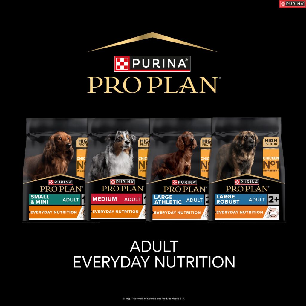 34958 PPD Dog Fest Product Squares x7_v2_OL_F2