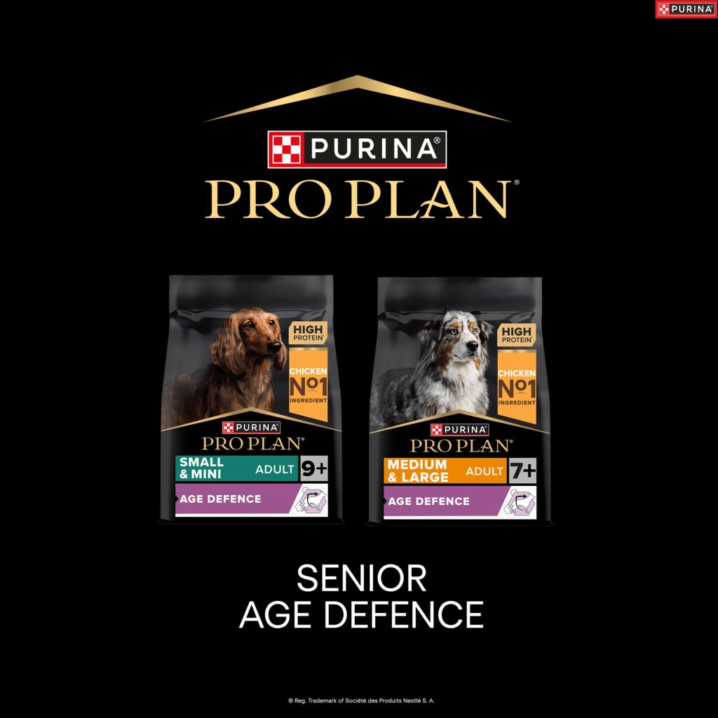 34958 PPD Dog Fest Product Squares x7_v2_OL_F3