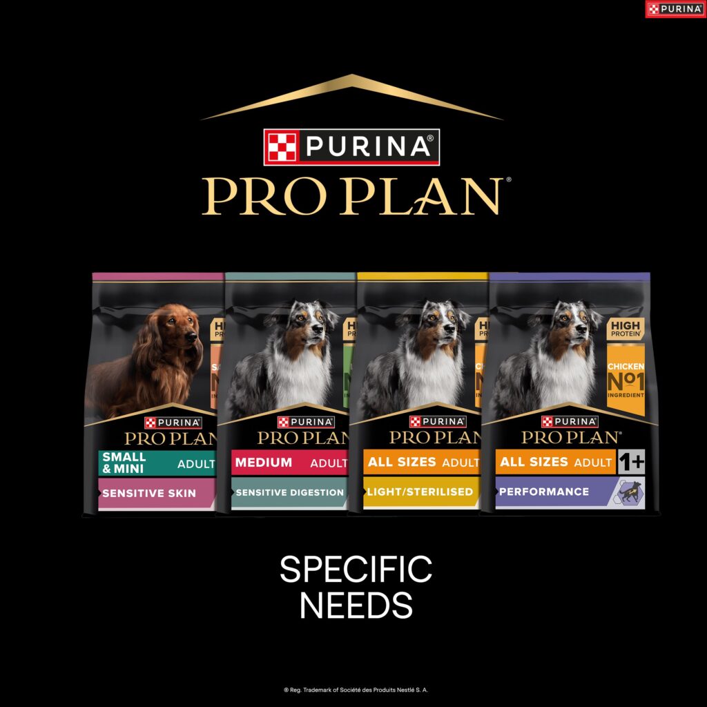 34958 PPD Dog Fest Product Squares x7_v2_OL_F4