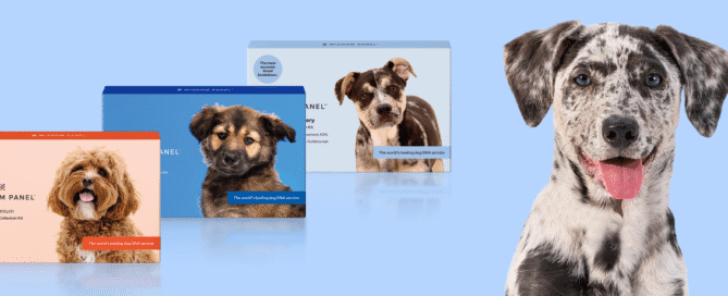 Wisdom Panel Dogs