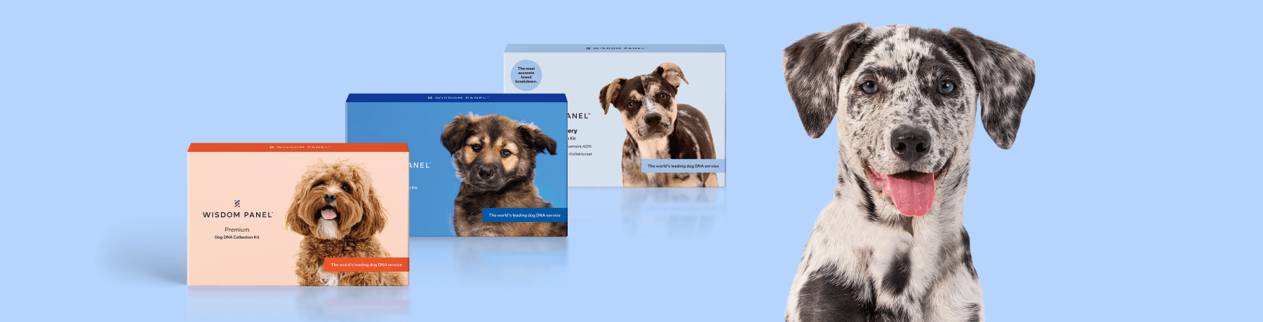 Wisdom Panel Dogs