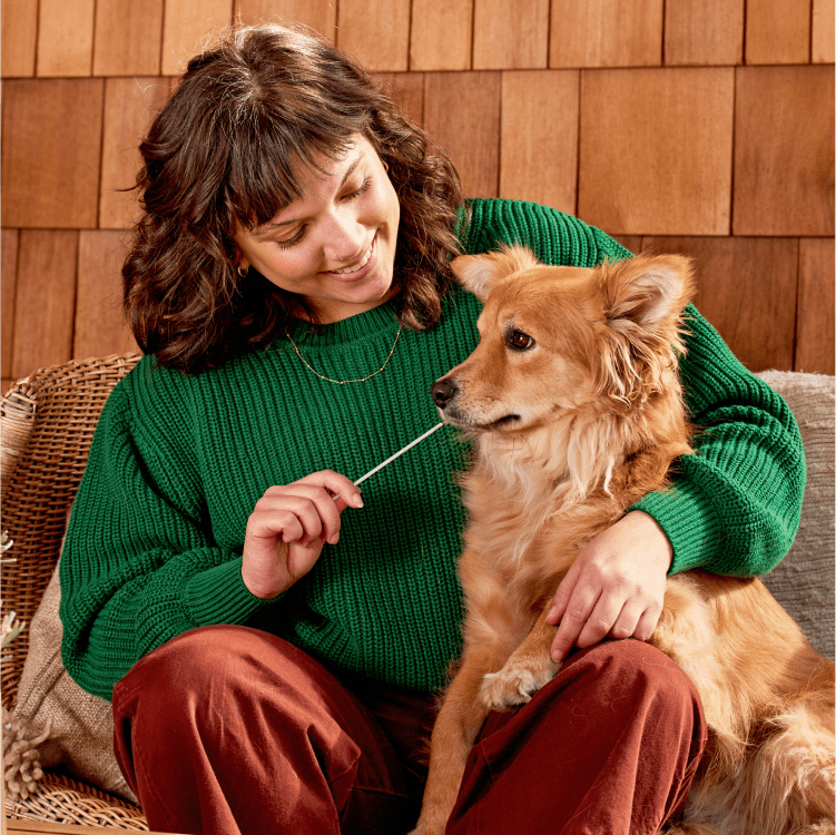 Image 1 Blog 3 Wisdom Panel DF25 Lady in green jumper with Dog