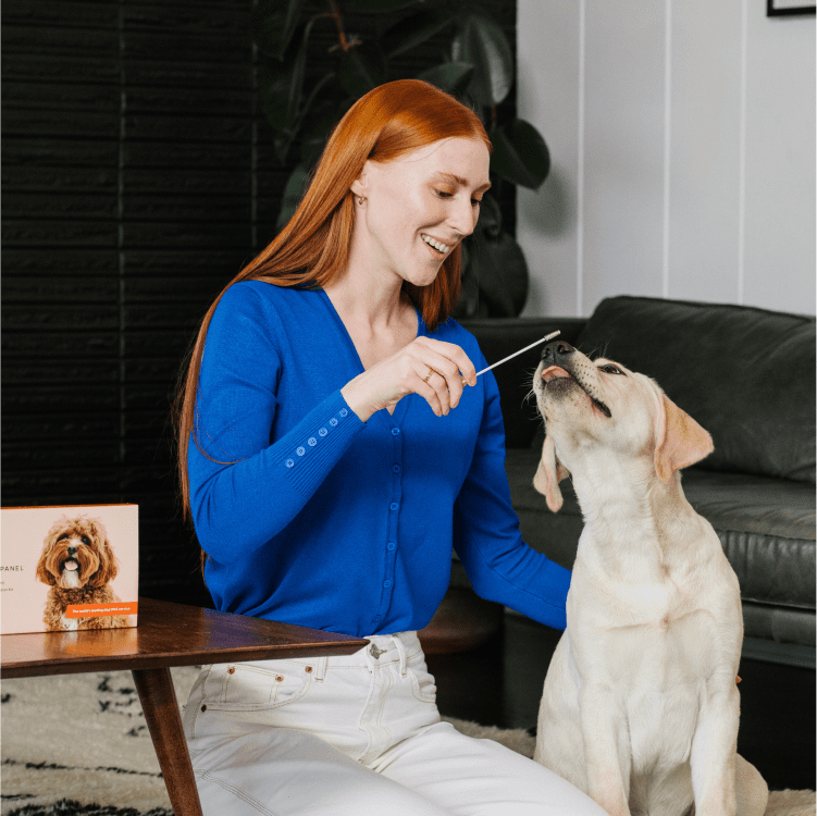 Image 3 Blog 3 Wisdom Panel DF25 Red-haired woman tests dog for DNA