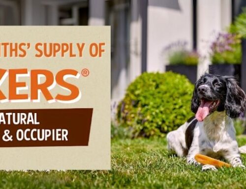 Win a 6-month Supply of YAKERS