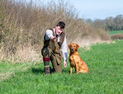 Animal Management Students from Askham Bryan Excited for DogFest at Harewood House 2025!