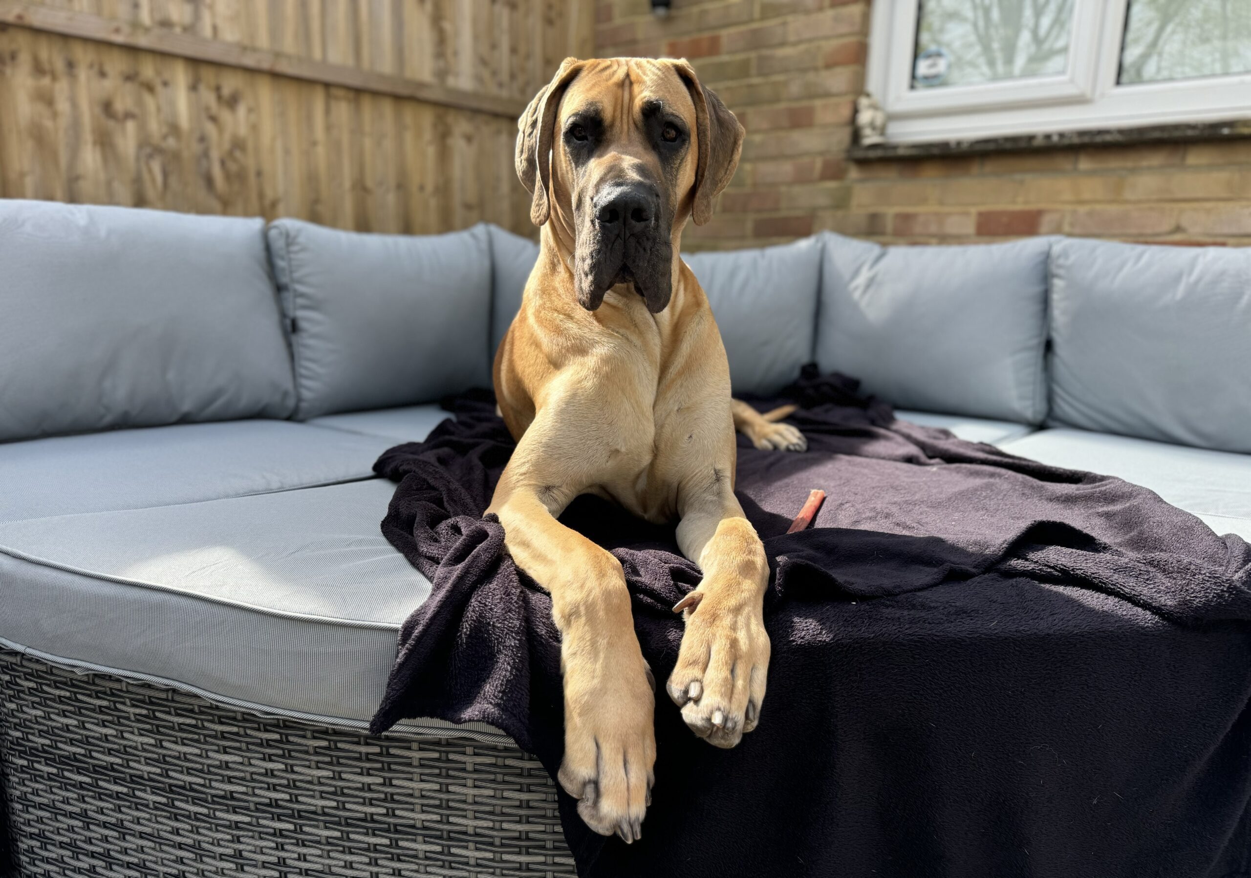 Otis 4
