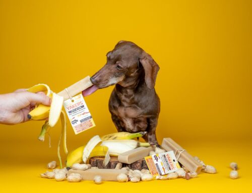 Introducing YAKERS Peanut Butter & Banana Chews: A Tasty New Treat for Your Dog