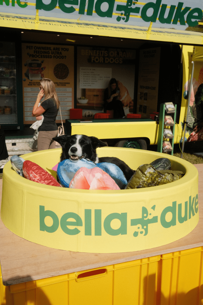 Untitled (667 x 1000 px)