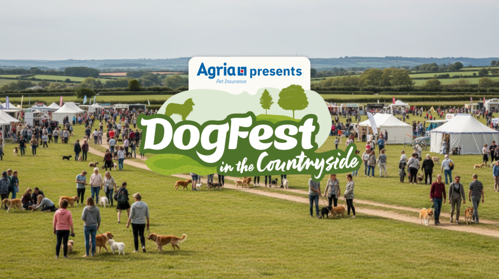 DogFest in the Countryside takes Tatton Park! - Dogfest