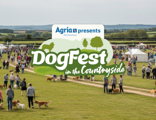 DogFest in the Countryside takes Tatton Park!