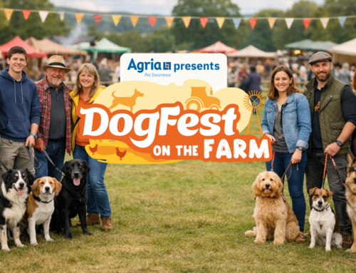 DogFest on the Farm comes to Harewood House!