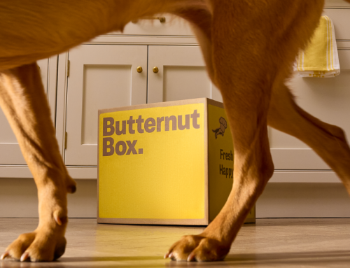 Win £100 Worth of Treats, Chews & Wellness Products