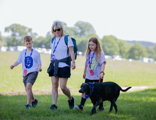 Make the Most of Summer With Your Dog