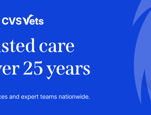 CVS Vets announced as DogFest’s Official Vet Partner!