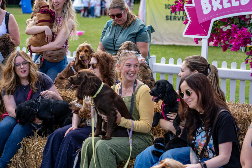 Breed Meet Up