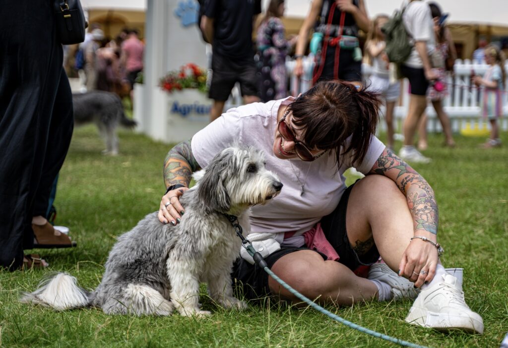 Dog at DogFest