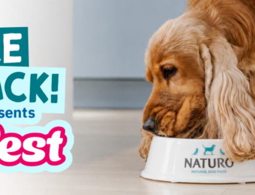 Naturo Are Back for DogFest 2026!