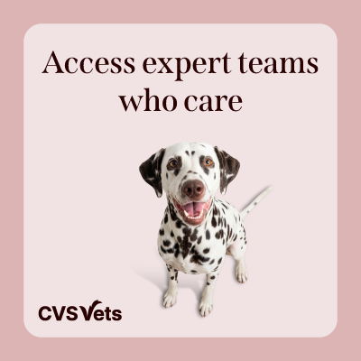Square Image 1 CVS Vets,