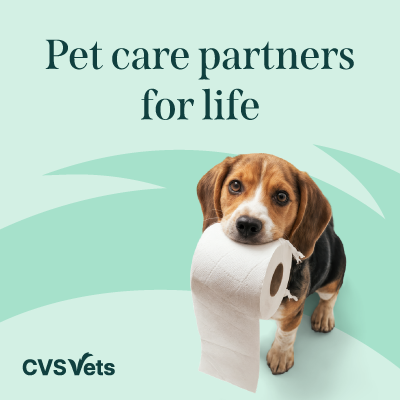 Square Image 3 CVS Vets