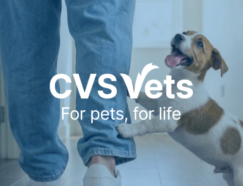 More Check-ups with CVS Vets, Fewer Surprises