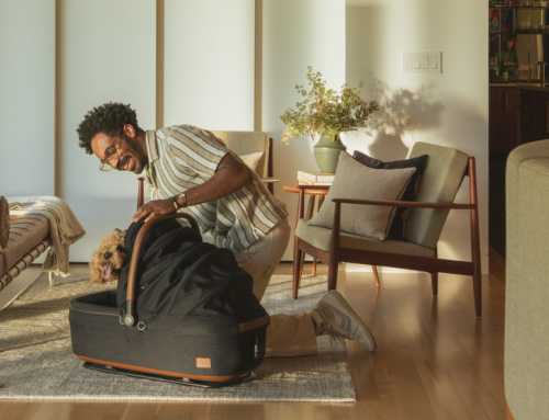 Tavo at DogFest at the Palace: Discover the Future of Safe, Stylish Pet Travel